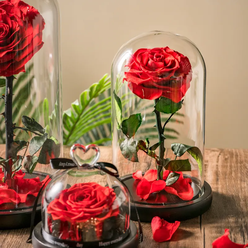 Fleur éternelle en roses, cadeau idéal pour la saint-valentin, pour les enseignants, le mari et la femme, 50/2022