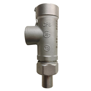 Válvula de Alivio Criogénica de Acero Inoxidable -196°C para Seguridad Criogénica en LNG, LN2, LO2, LAr - Product Image 2