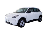 Approvisionnement direct usine 2026 pour véhicules électriques Xingyuan EV EEC, autonomie NEDC de 301 km, batterie de 30-50 kWh, mini-voiture électrique