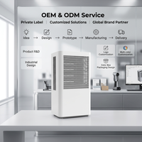 Déshumidificateur MD821 populaire avec grand réservoir d'eau amovible et connexion de drainage externe pour sous-sol, salon, bureau