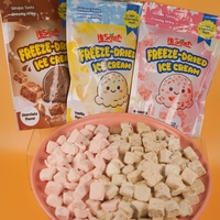 Hisnack Aardbei Chocolade OEM Heerlijke Gefreeze-droogde IJsjes Gefreeze-droogde IJsjes