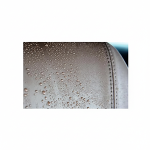 Meilleures ventes de protecteur de siège de voiture avec revêtement nano Application par pulvérisation de liquide au meilleur prix - Product Image 1