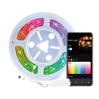 Bande lumineuse LED RGB WiFi avec application et commande vocale, bande lumineuse intelligente RGB alimentée par USB 5V pour la décoration de la maison