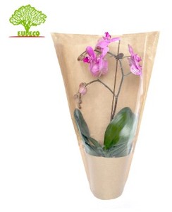 Manchon déchirable pratique embelli laconique/sac manches de fleurs en pot/couvertures décoratives en papier kraft en utilisant BOPP + papier kraft - Product Image 2