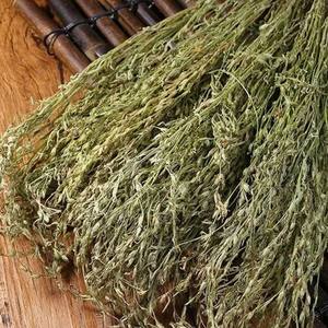 Striga Asiatica, Hierba para Malnutrición Infantil, Bozhou Anhui, Fresca y Seca, en Paquete para Sopa, 1 kg, Fulitang (Hai'er Cao, Hierba para Niños) - Product Image 3