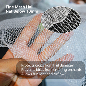 Heavy Duty Cross Knitted Anti <strong>Bird</strong> Cover Durable Yemen Anti <strong>Hail</strong> Netting <strong>Hail</strong> Protection Film <strong>Hail</strong> <strong>Net</strong> - Product Image 2