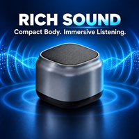 Haut-parleur BT portable, mini enceinte sans fil, basses puissantes, corps métallique, BT 5.1, son HD 0-5W pour voiture, bureau