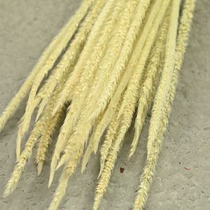 Ramo de Flores Secas Eternas, 30 Unidades por Paquete, Hecho a Mano, Tacto Realista, Ligero y Lujoso, Arreglo Floral Eterno - Product Image 2