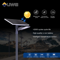 Farola Solar LED de 6m con Lámpara de 30W y 3600lm, Controlador MPPT, Batería de Gel, IP65, Precio de Conjunto