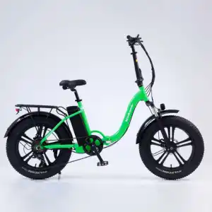 高品质20英寸电动城市自行车48V 750瓦全悬挂电动自行车专用脂肪轮胎山地车动力锂电池