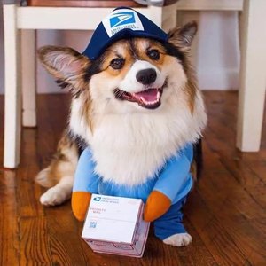 Divertido disfraz de transformación de perro para mascotas medianas y grandes Uniforme de mensajería de invierno Ropa de gato para decoraciones del día de Halloween - Product Image 1