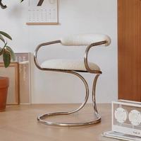 Fauteuil de salle à manger moderne en acier inoxydable durable, chaise de coiffeuse de chambre à coucher, fauteuil créatif design en forme de serpent avec dossier, pour la maison et les loisirs