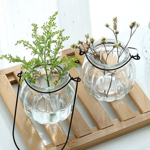 Hanging Glass <b>Vase</b> Pumpkin Shape Transparent Flower Pot For Living Room Decoration Simple Fresh Ornament - Product Image 2