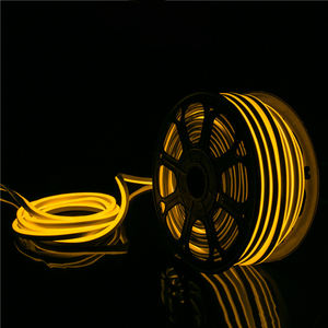 Prix usine néons bande 5 mètres par rouleau IP67 étanche extérieur 12V 2835 LED néon corde lumière Flexible LED néon - Product Image 1