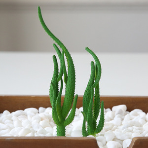 Plantas Suculentas Artificiales de Plástico en Miniatura, Accesorios para Arreglos Florales, Flores Decorativas al por Mayor, Plantas Decorativas - Product Image 6
