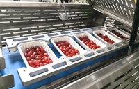Máquina de Sellado de Bandejas Automática Lineal Ruibao BQS-QH2000, Máquina de Envasado en Atmósfera Modificada para Lechuga, Verduras y Frutas