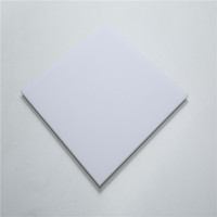 Plaque diffuseur de lumière solide en polycarbonate de 3 mm avec protection UV pour hôtels modernes