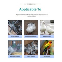 O'Nedew Éliminateur d'acide lactique Xinsai Supplément pour pigeons Énergie & Récupération Amélioration de l'oxygénation sanguine Performance de course VB12