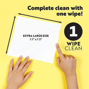 자연 및 생분해 성 <span class=keywords><strong>Ph</strong></span> 균형 질 여성 친밀한 클렌징 물티슈 여성을 위해 개별적으로 포장 - Product Image 3