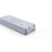 Compatible avec les variateurs Lutron ETL Listed pour les bandes de LED Transformateur de LED 12V 24V DC Dimmable 100W Dimmable LED Driver