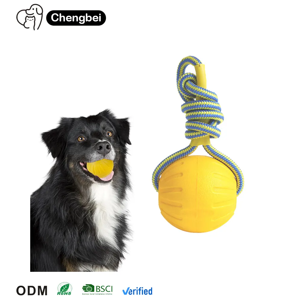 Factory Wholesale Training Pet Rope EVA Floating Foam Ball Bite Pull Ring Interactive Dog Chew Toys