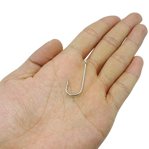 Hamulus hippocampi một cái móc dài - Product Image 4