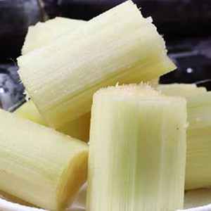 Grau alimentício De Alta Pureza Grande Fornecimento De Cana De Açúcar Em Pó De Frutas De Cana De Açúcar Completamente solúvel em água - Product Image 3