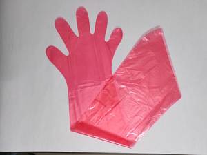 Kits de <span class=keywords><strong>Prueba</strong></span> de Gestación para Vacas, Guantes de Palpación Rectal, Guantes Largos Veterinarios para Inseminación Artificial en Vacas, Guantes Veterinarios - Product Image 5