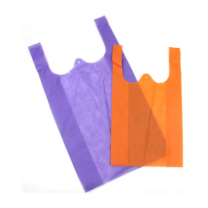 Top 79+ disposable carry bags latest esthdonghoadian