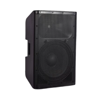 Système audio professionnel Line Array actif/passif, enceinte PA puissante à large bande, système de sonorisation Line Array alimenté