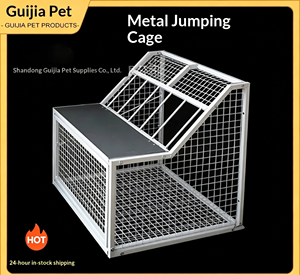 Cage à pigeons de luxe en acier inoxydable, facile à assembler, avec système anti-évasion, pour pigeons de course et d'élevage - Product Image 2