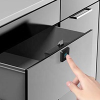Vingerafdruk Lock Kabinet Sloten Biometrische Keyless Houten Doos Meubels Lade Vingerafdruk Sloten