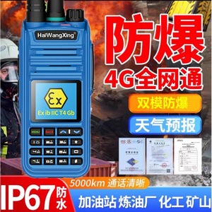 Walkie Talkie a Prueba de Explosiones HaiWangXing HX-918EX 4G de Modo Dual con GPS para Minas de Carbón y Plantas Químicas - Product Image 5