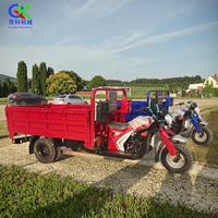 Motocyclette à trois roues à essence pour le transport de marchandises, tricycle/rickshaw, mini camion