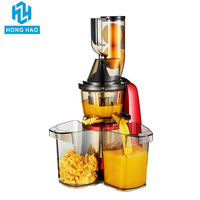 Aanpasbare Professionele Slow Juicer Stille Dc Motor Kauwen Koude Pers Bpa-Vrije Draagbare Citrus Juicer Reverse Home Gebruik