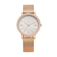 Reloj de Pulsera de Lujo para Mujer, Personalizado, de Acero Inoxidable, con Malla, Esfera de Cuarzo, Cristal, Caja de Aleación, Accesorio de Moda