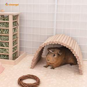 Hamster-Kletterleiter Holz-Hängebrücke für Meerschweinchen Ratten Igel Gerbils Mäuse Zuckerflieger und Andere Kleintiere - Product Image 5
