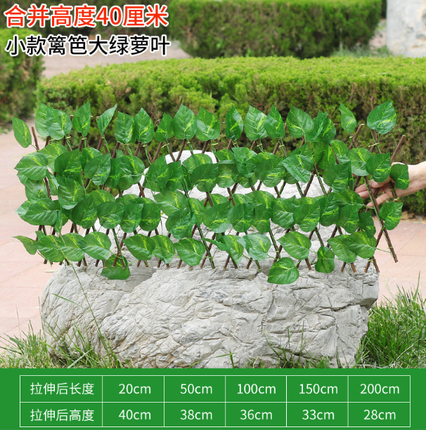 #7-40cm grande feuille