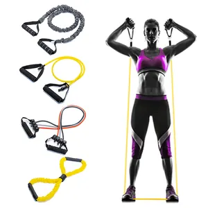 Gym Fitness Resistance Tube Band Set 11 Pieces With Exercise Tube Bands Door Anchor Ankle Straps Carry Bag