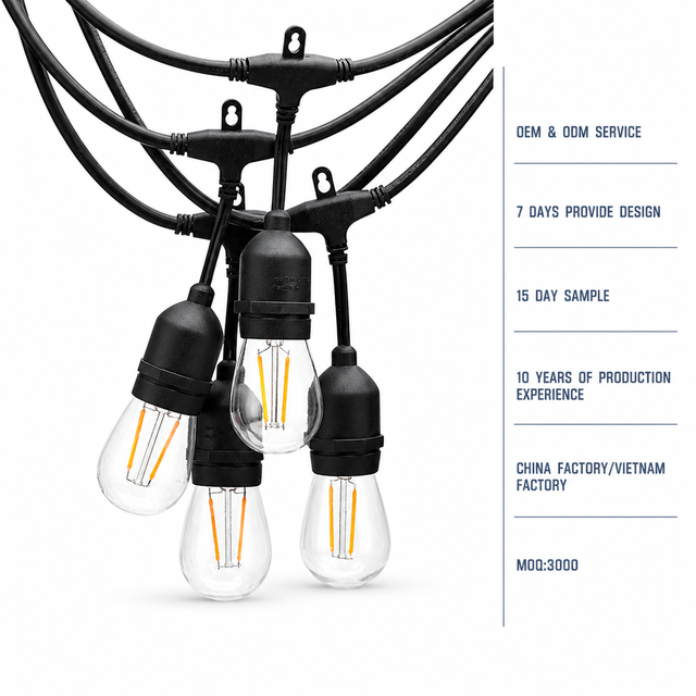 Vietnam Wholesale Factory Led Light String Outdoor Waterproof Lighting 24ft Dual Filament Christmas Lights Led String Decoration