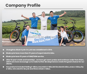 Электровелосипед Fat Boy 2025: Гибридный, 20-дюймовый, с полной подвеской, для города и бездорожья, с двигателем 48В/52В 500Вт/750Вт, настраиваемый - Product Image 4