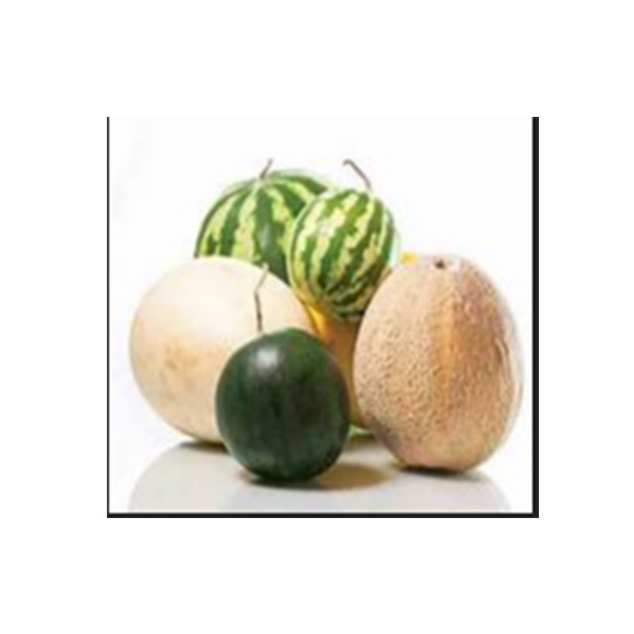 Популярная продукция, экспорт, канталупа, свежий канталуп, свежие дыни, арбуз