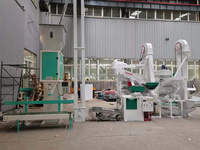 Moulin à Riz Machine à Décortiquer le Riz Professionnel
