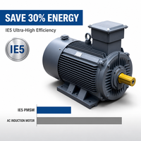 Moteur asynchrone synchrone hybride triphasé IE5 AC PMSM super efficace 50Hz 2,2KW 1500 tr/min pour équipement industriel