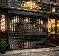 Portes intérieures perforées, porte de garage automatique à enroulement