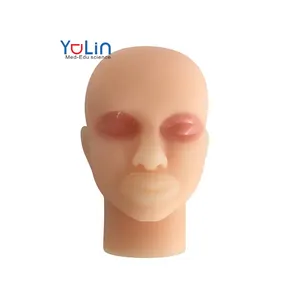 双眼皮硅胶头部模型内含骨美容行业实践头部模型