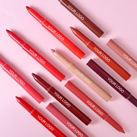 Pleine couleur pas facile à estomper Maquillage antiadhésif Lip Liner Waterproof Liquid Lip Marker Pen