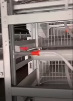 Équipement d'élevage avicole de type H entièrement automatique au design moderne, cages pour poulets de chair