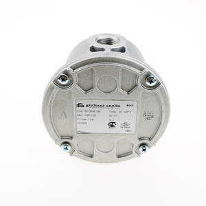 Filtro de Gas Industrial Giuliani 70611/6B (1/2") de Italia, Apto para Quemadores de Sistemas de Calefacción - Product Image 1