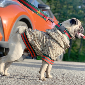 पालतू वस्त्र फैशन मुद्रित कुत्ते ब्रांड मध्यम बड़े कुत्तों के लिए नए डिजाइन ब्रांड कोट - Product Image 1